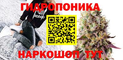 молекула духа Пенза