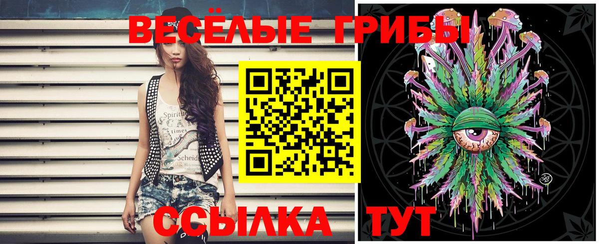 продажа наркотиков  Вход с VPN  Новокубанск  Галлюциногенные грибы MAGIC MUSHROOMS 