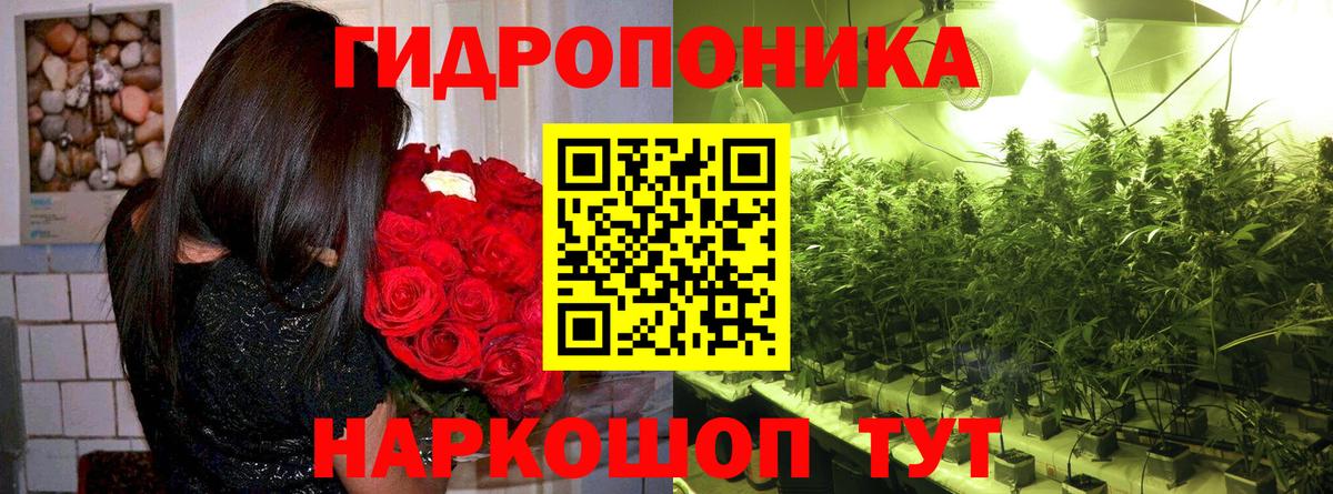 Конопля индика  Канабис Ganja  Вход с VPN  Новокубанск  Шишки марихуана AK-47  Бошки марихуана тримм 